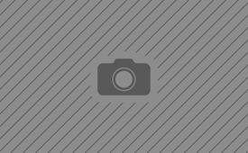 Schuett makes big gains during POWRi Thunder