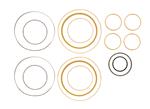 O-RING & SEAL KIT