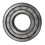 IPTO OUTPUT SHAFT BEARING