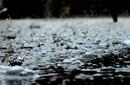 Angell Park Off For Tonight, Sunday, May 17.  Dahl...