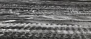 Wet Weather Forces Jackson Motorplex Official