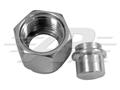 #6 Female O-Ring Plug
