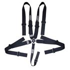 Ultra Shield ARMOR 5-Pt 3 Hans Pull Up Camlock