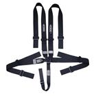 Ultra Shield ARMOR 5-Pt 3 Pull Up Latch & Link