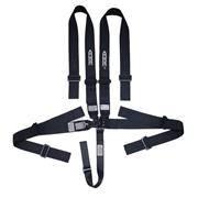 Ultra Shield ARMOR 5-Pt 3" Pull Up Latch & Link