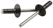 Large Head Black Rivets XXL