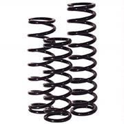 Integra Rear Springs 5"x13"