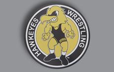 Hawkeyes Wrestling 40" 3D