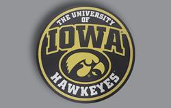 Tiger Hawk Design 47 3D