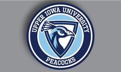 Peacock Design 47 3D