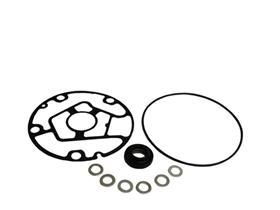 TM31 Shaft Seal Kit