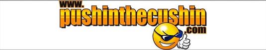 www.pushinthecushin.com interviews Jamie Ball