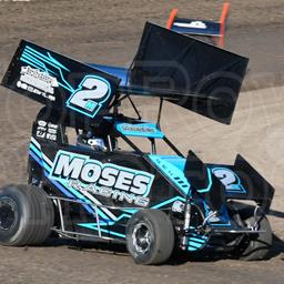 Lee Moses