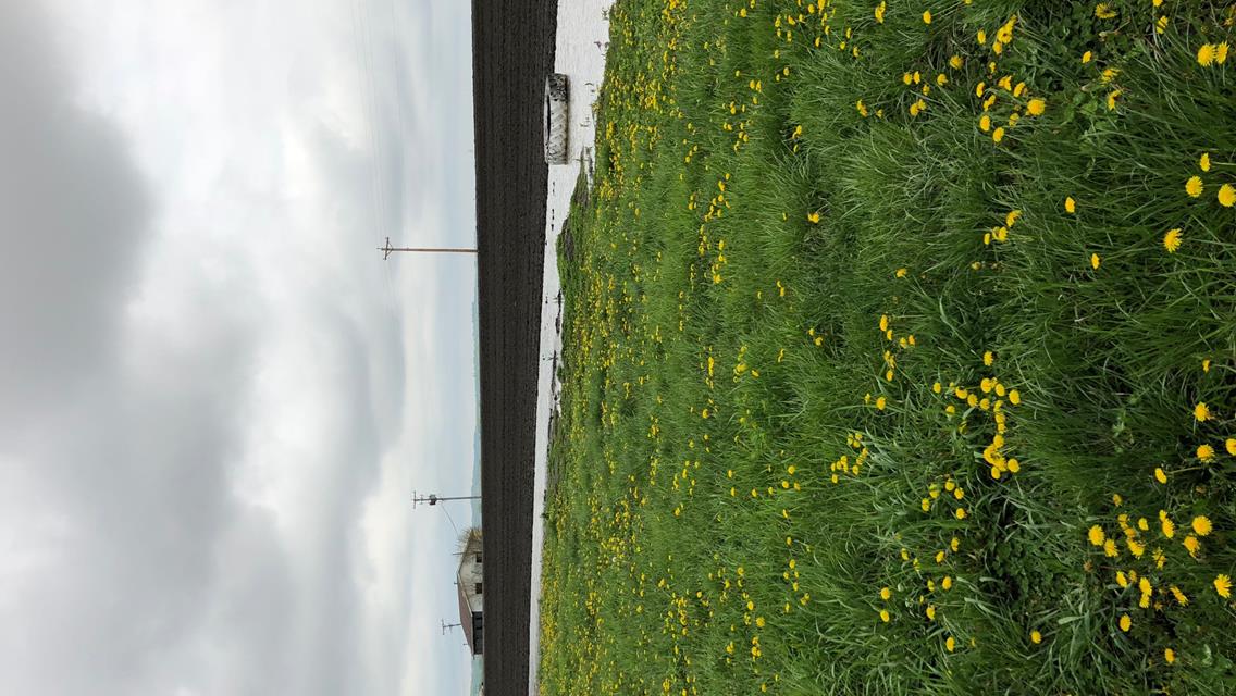 Saturday June 23 Races Cancelled