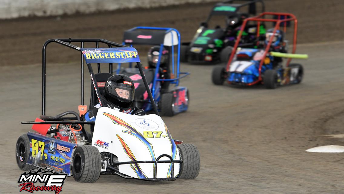 Assassin Speed Works presents FRIDY NIGHT LIGHTS -Friday, June 4th