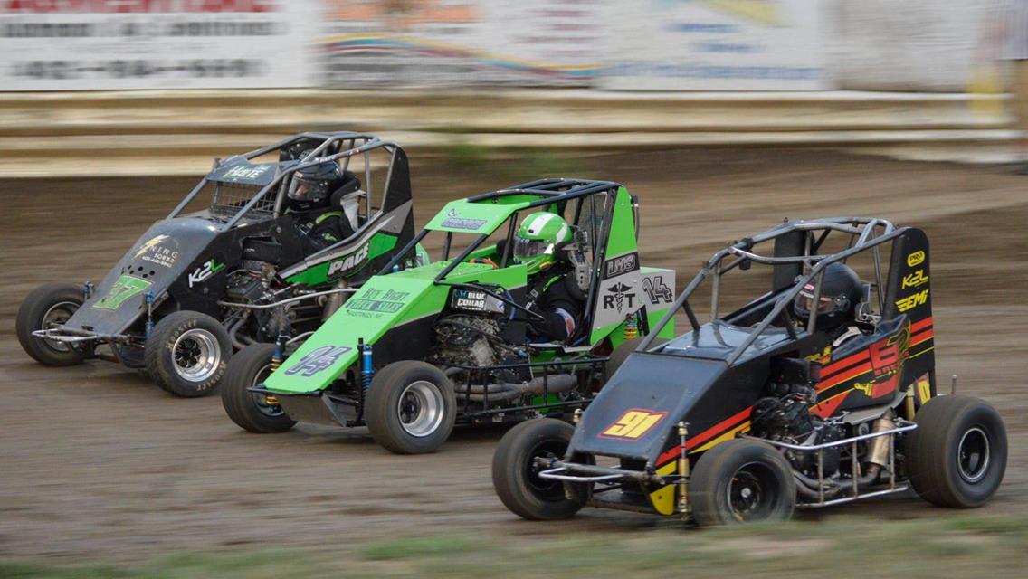 Friday Nights Under the Lights!!