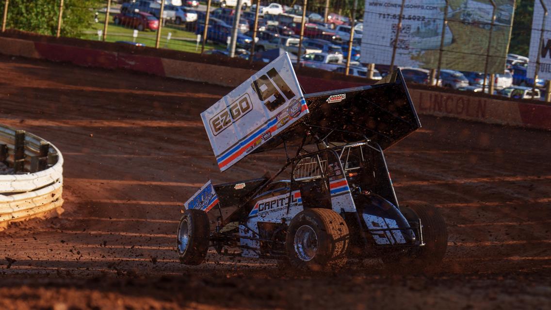 Lattomus Taking One Step Back To Take Two Forward