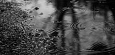 Cold Rainy Days