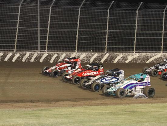 They Let The Moose Loose 