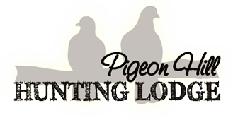 South Dakota Pheasant Hunting Lodge - Pigeon Hill |  Howard, SD